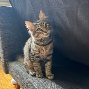 Meet your Posher, Michelle